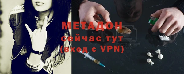 прущие грибы Баксан