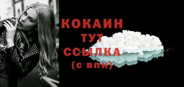 прущие грибы Баксан