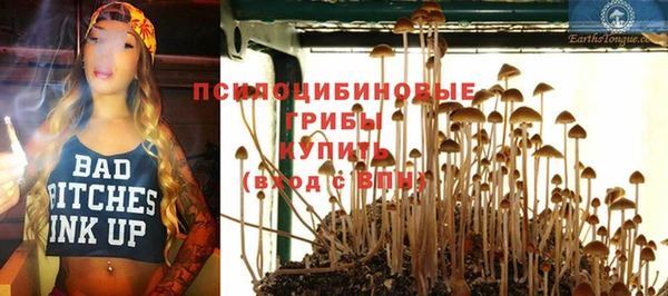 прущие грибы Баксан