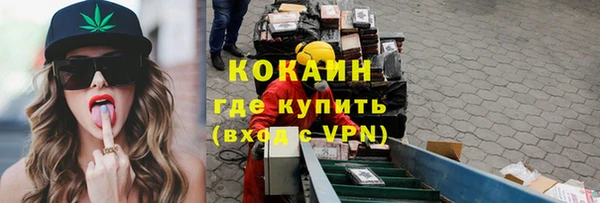 прущие грибы Баксан